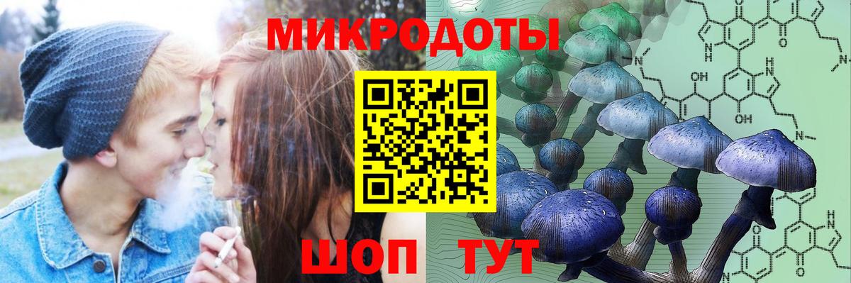 Псилоцибиновые грибы прущие грибы Саров